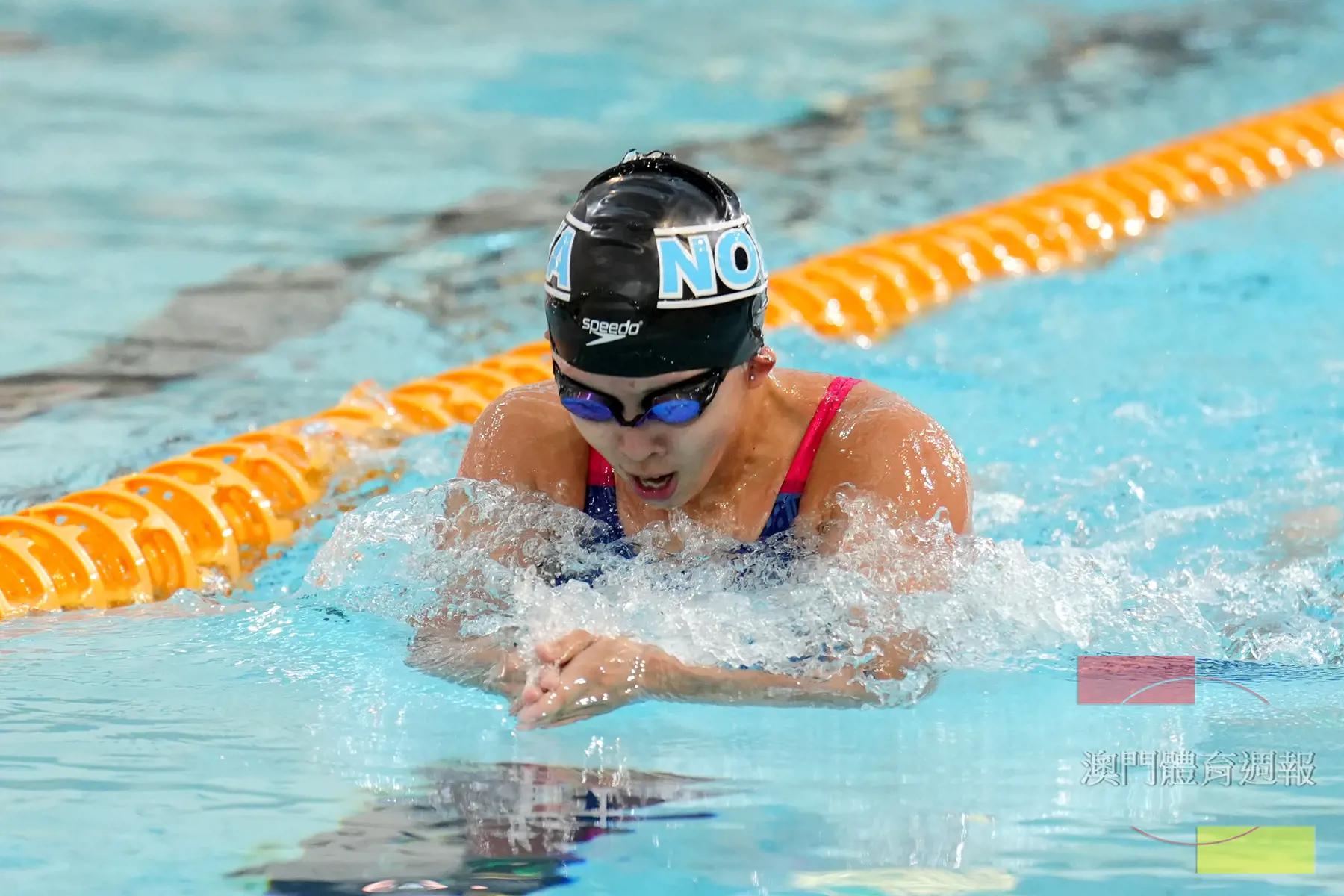 陳珮琳將出戰蛙泳、蝶泳及接力項目.JPG