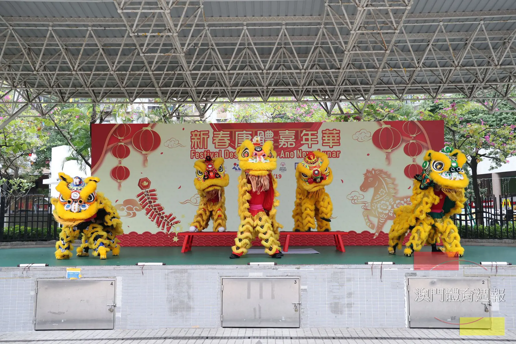 新春康體嘉年華於祐漢街市公園廣場舉行.jpeg