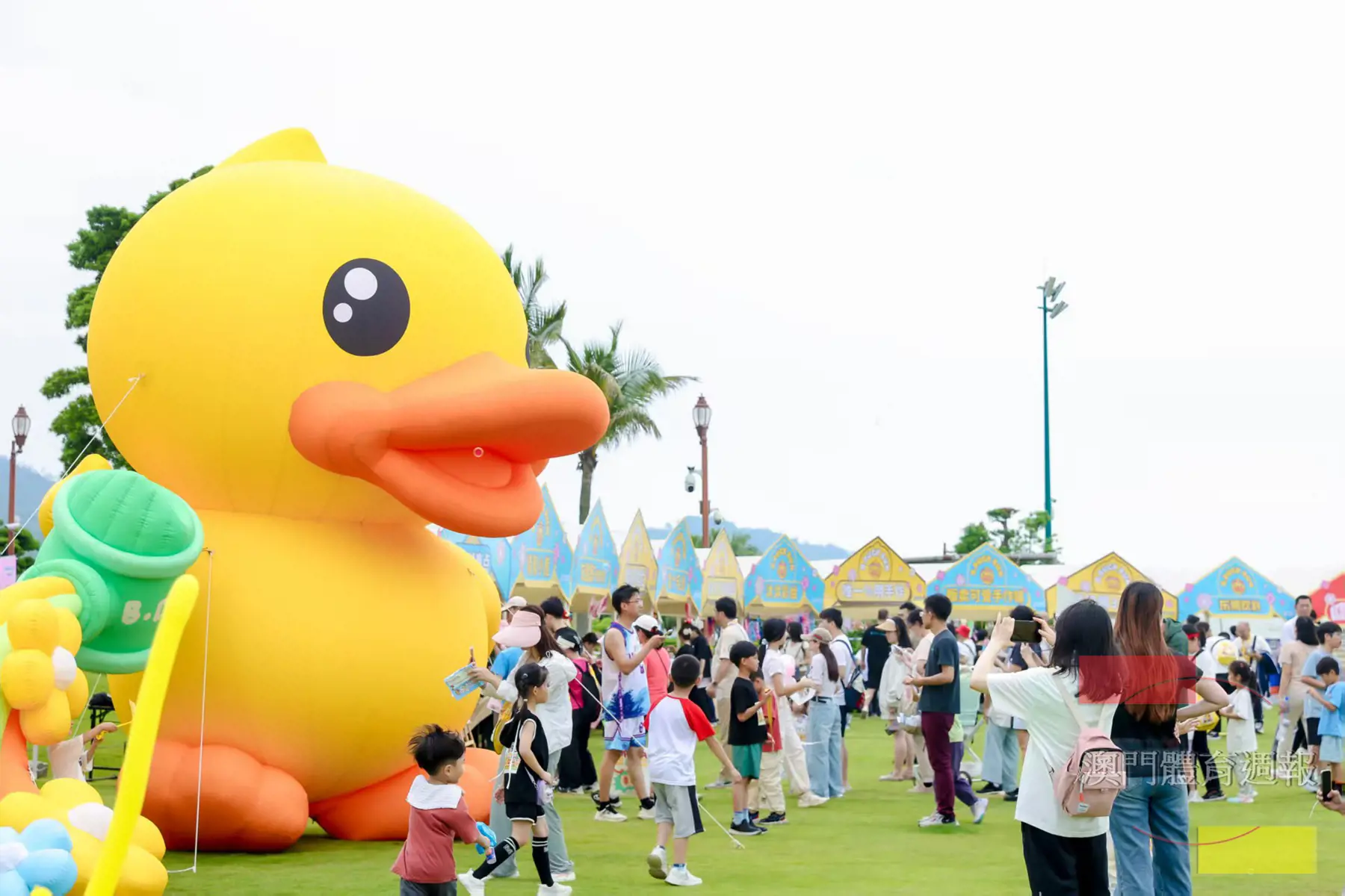 知名品牌B.DUCK登陸橫琴長隆.jpg