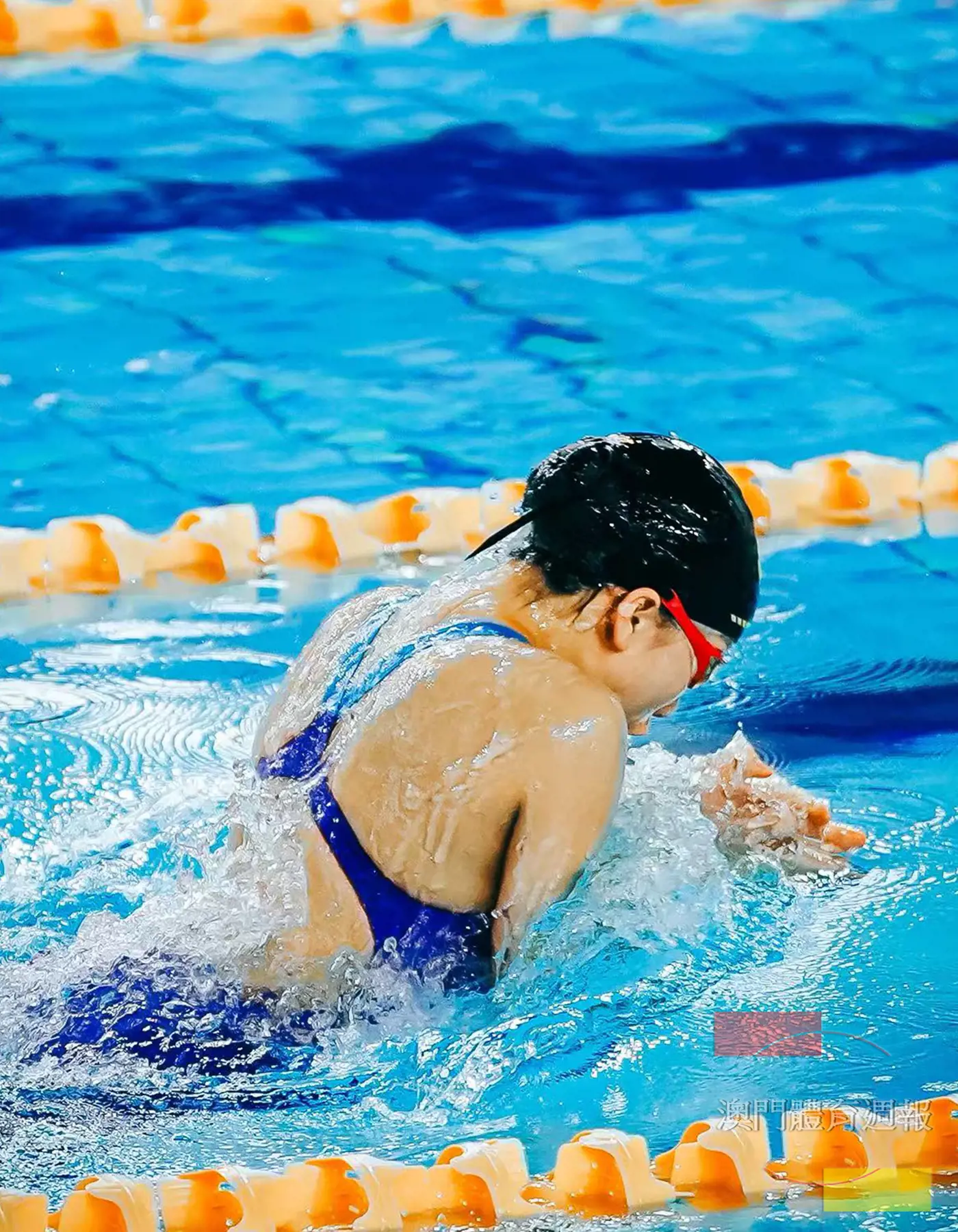 蔡倬睿在女子U14五十蛙及一百蛙奪冠，前者刷新賽會紀錄.jpg