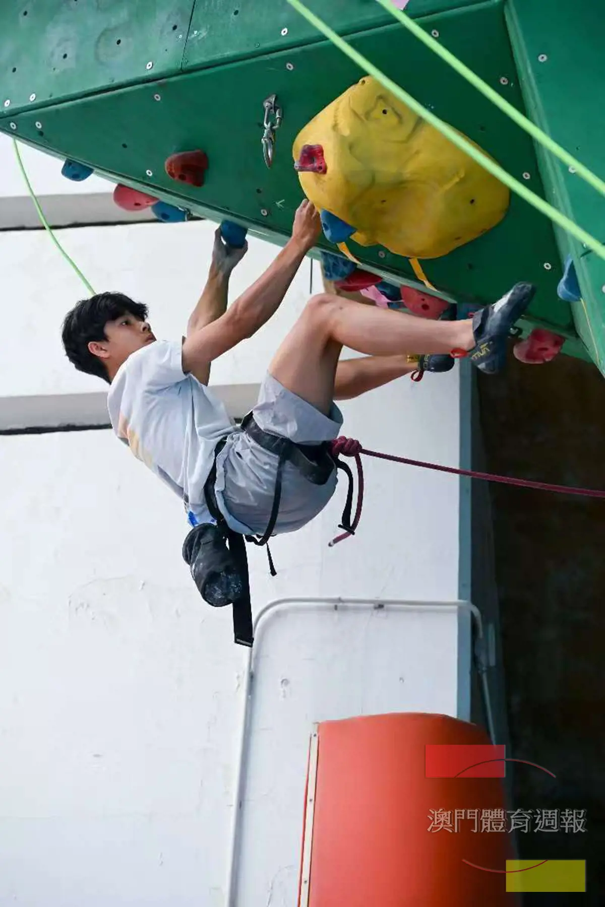 男子青年組冠軍鄭逸楓.jpg