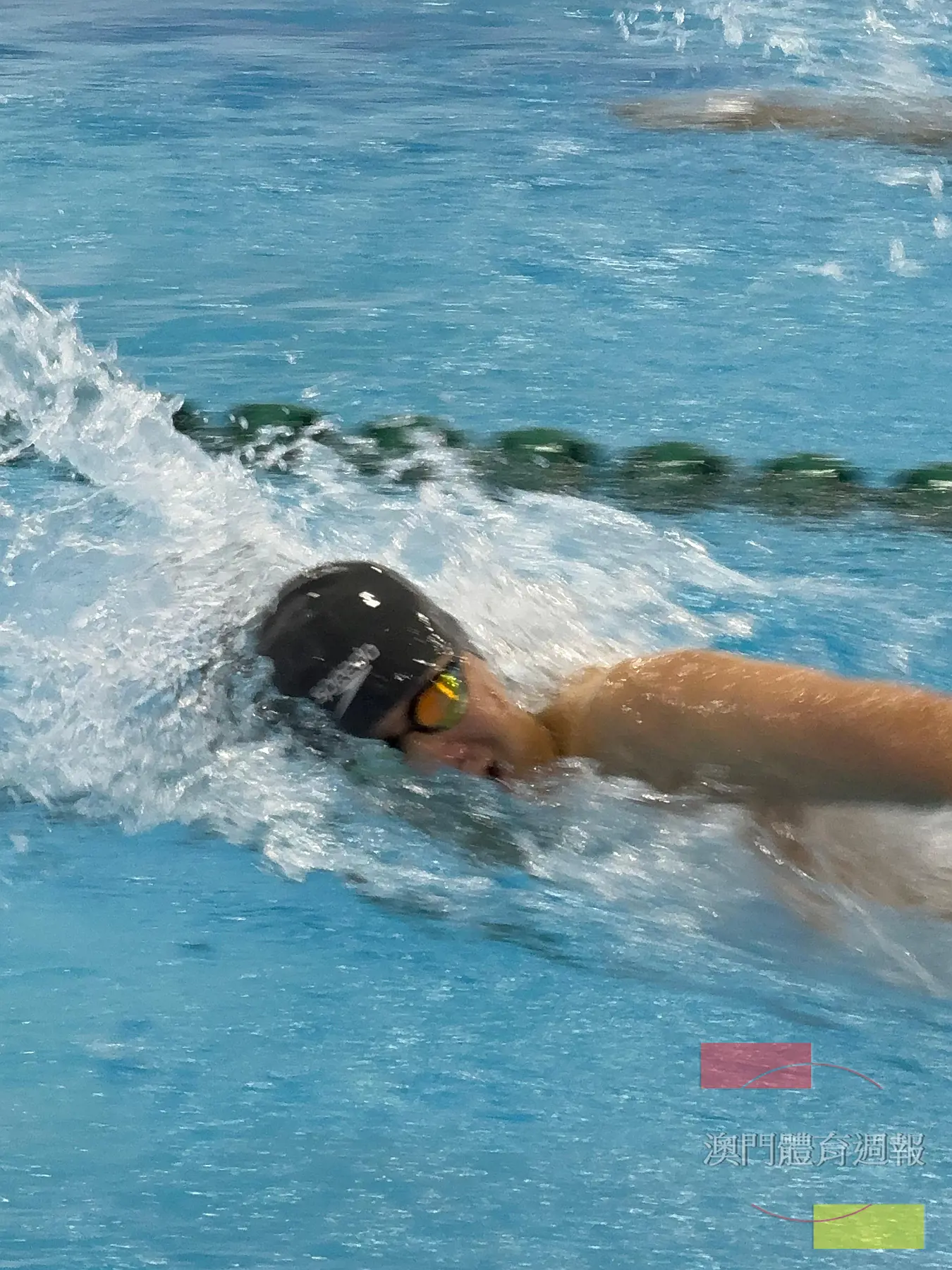 陳浩華於100米自由泳初賽.jpeg