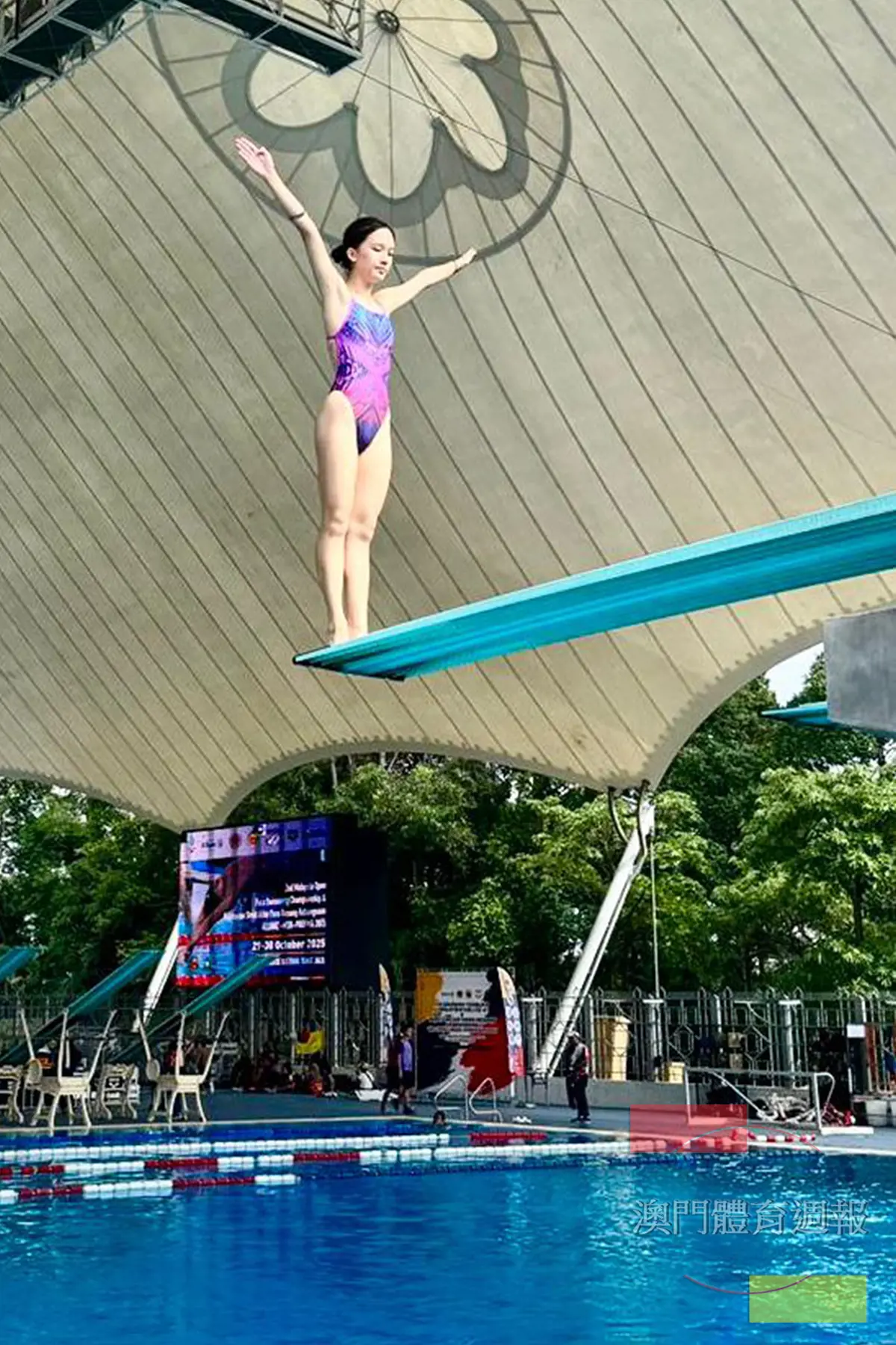 黃楚兒出戰馬來西亞公開跳水錦標賽.jpg